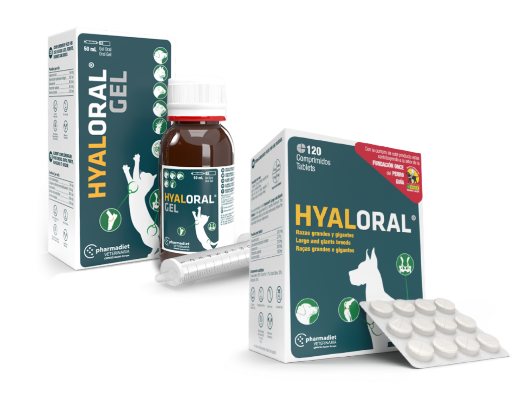 Hyaloral Gel Kedi