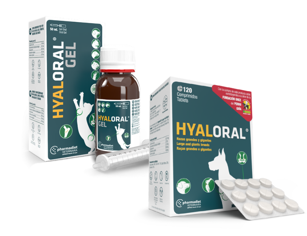 Hyaloral Gel Kedi