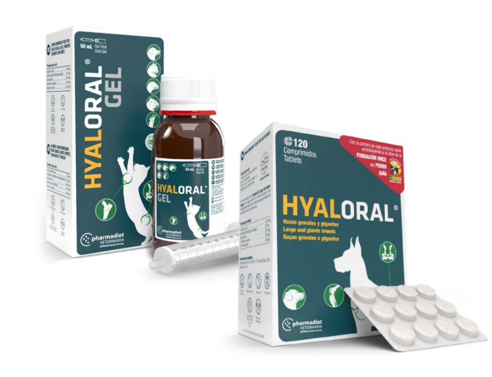 Hyaloral Gel Kedi